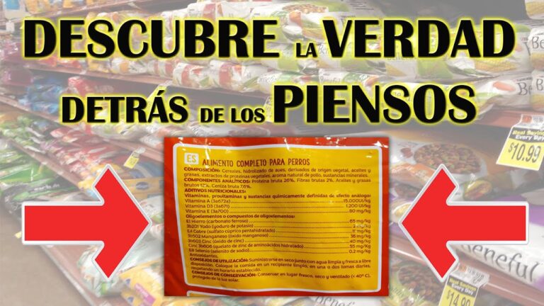 que marca de pienso es mejor para perros