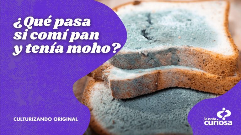 que pasa si como pan con moho