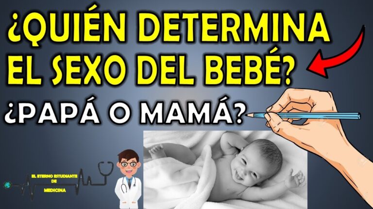 quien determina si es niño o niña