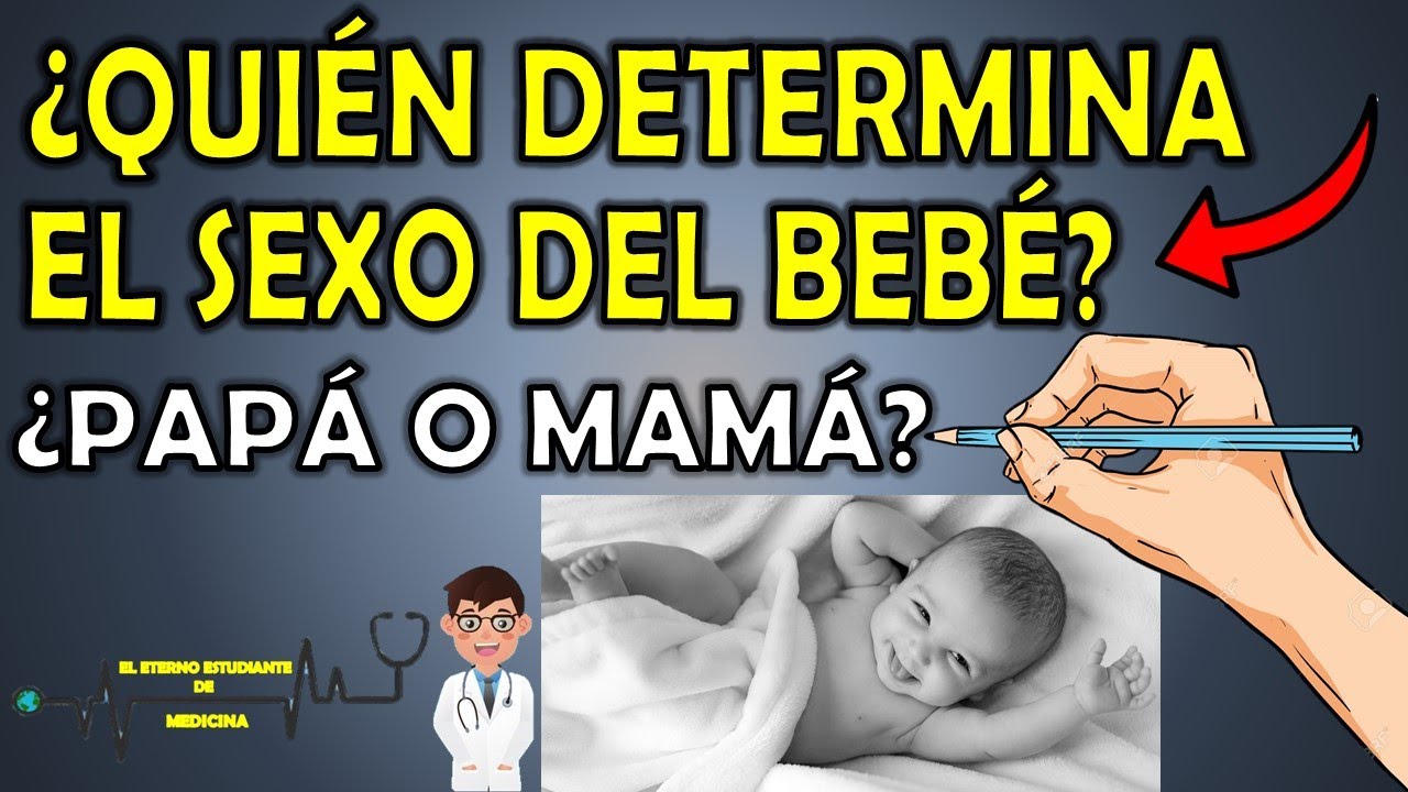quien determina si es niño o niña
