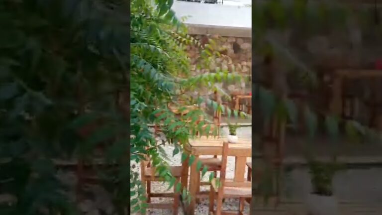 restaurante el patio de mi casa
