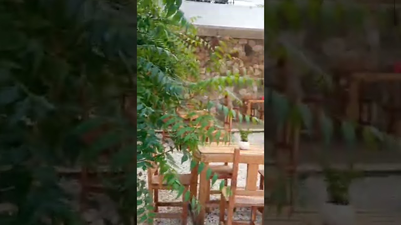 restaurante el patio de mi casa