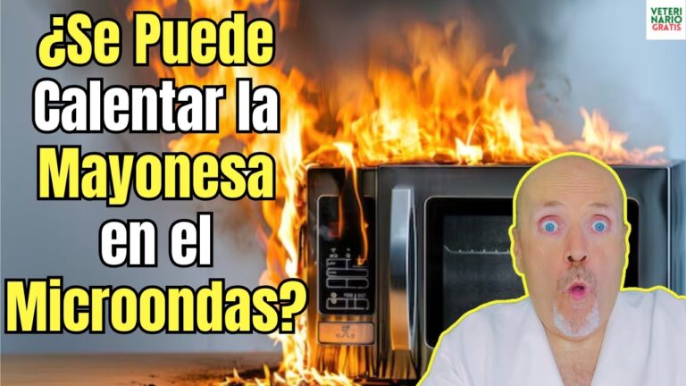 se puede calentar la mayonesa en el horno
