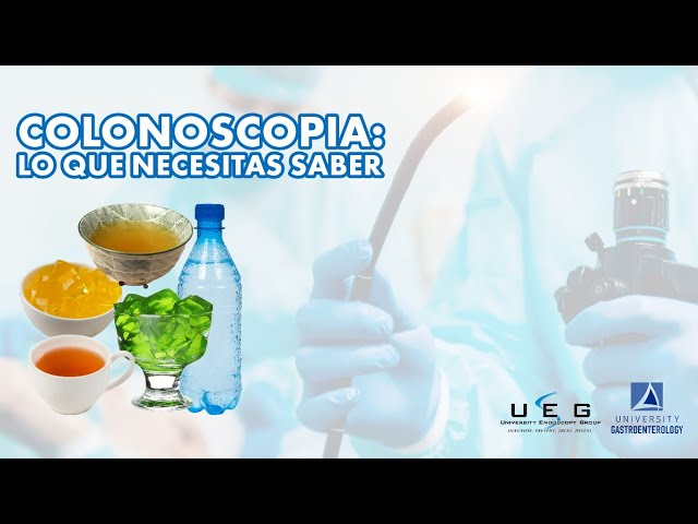 se puede comer marisco antes de una colonoscopia