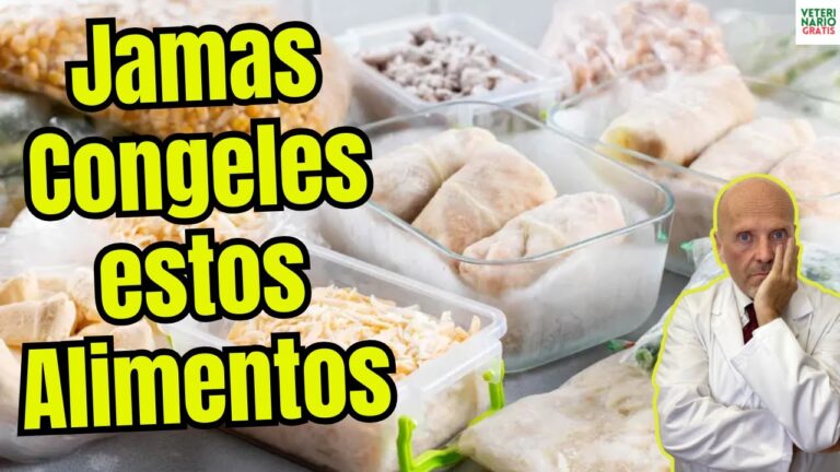 se puede congelar el foie fresco