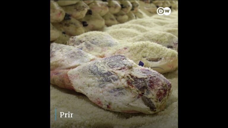 tiempo de curacion de un jamon