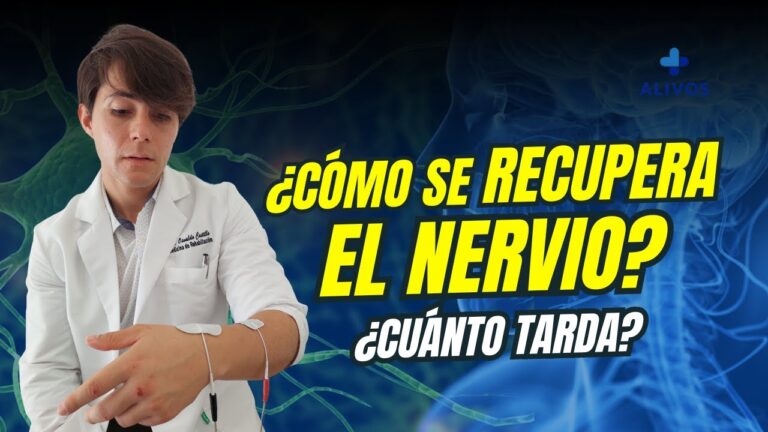 tiempo de recuperación de un nervio dañado