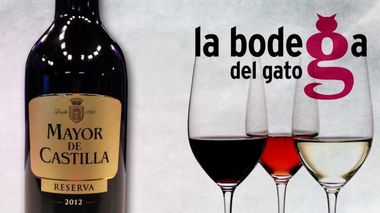 vino mayor de castilla ribera del duero