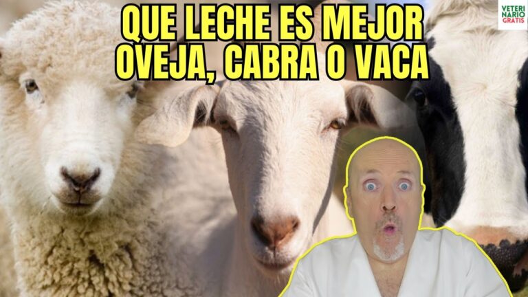 yogur de cabra y oveja propiedades