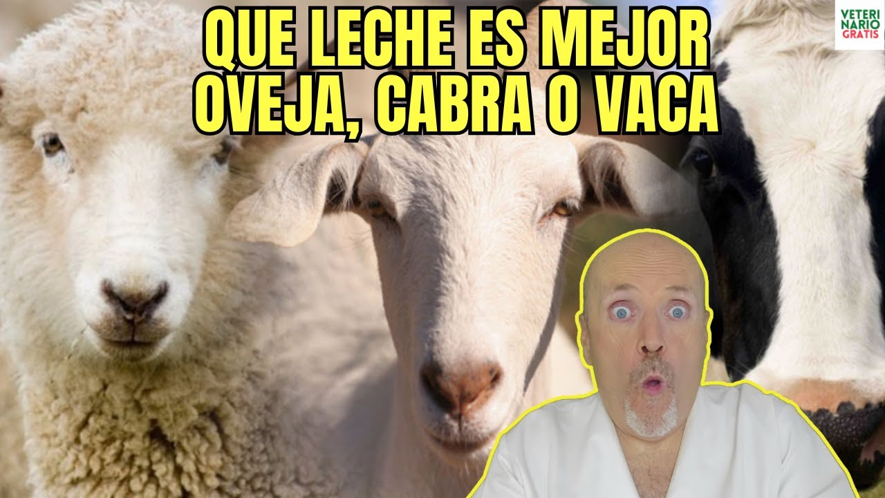 yogur de cabra y oveja propiedades